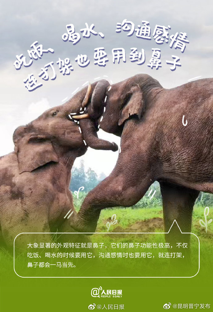 昆明晋宁发布