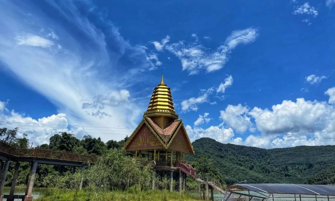 西双版纳望天树景区