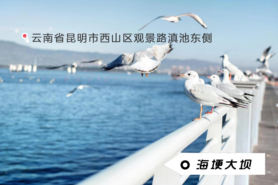 昆明文旅