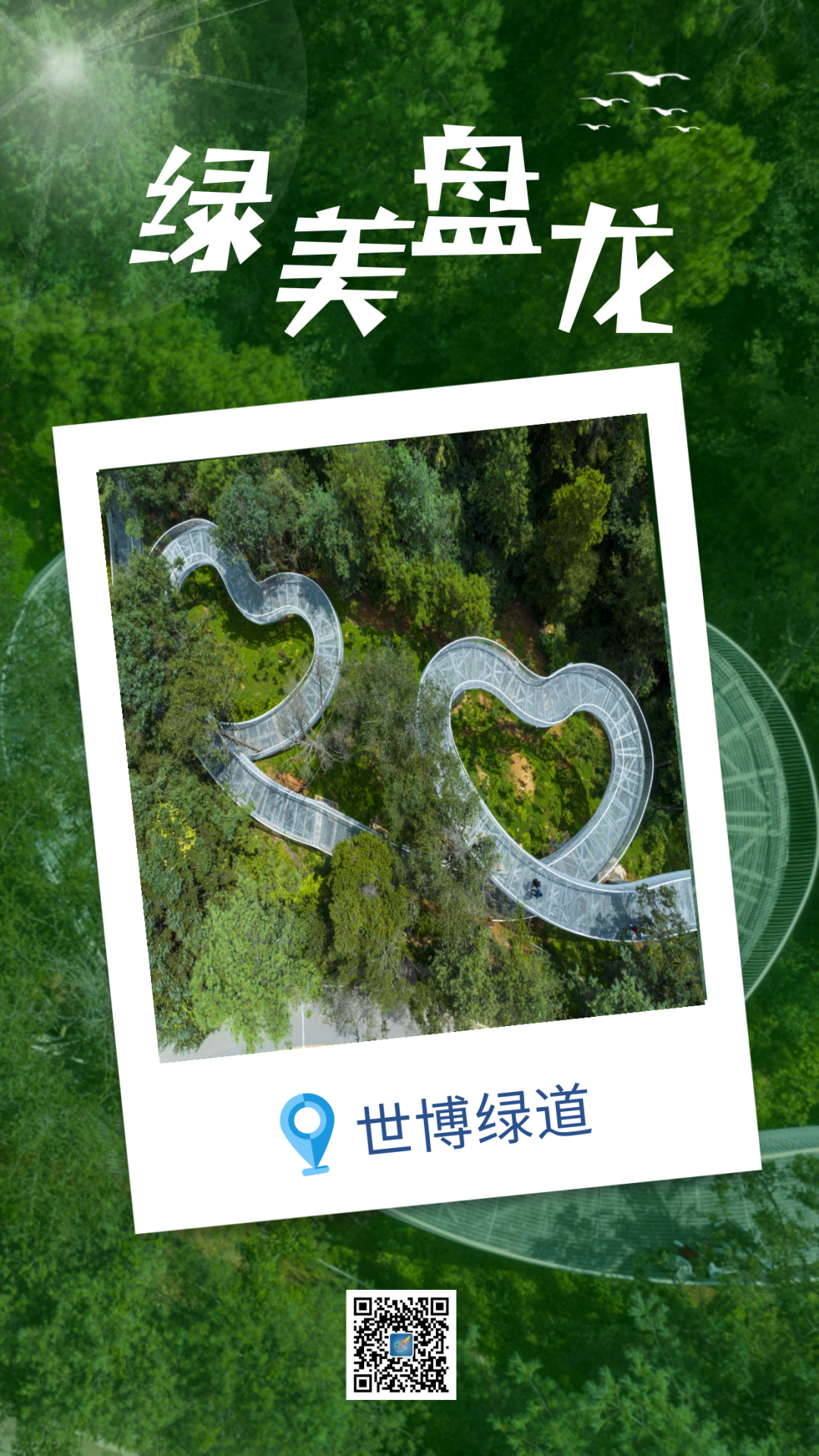 微观盘龙