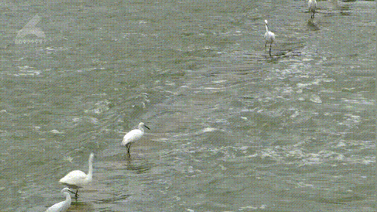 昆明信息港/cnkmxxg