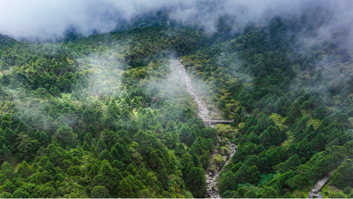 昆明轿子山旅游