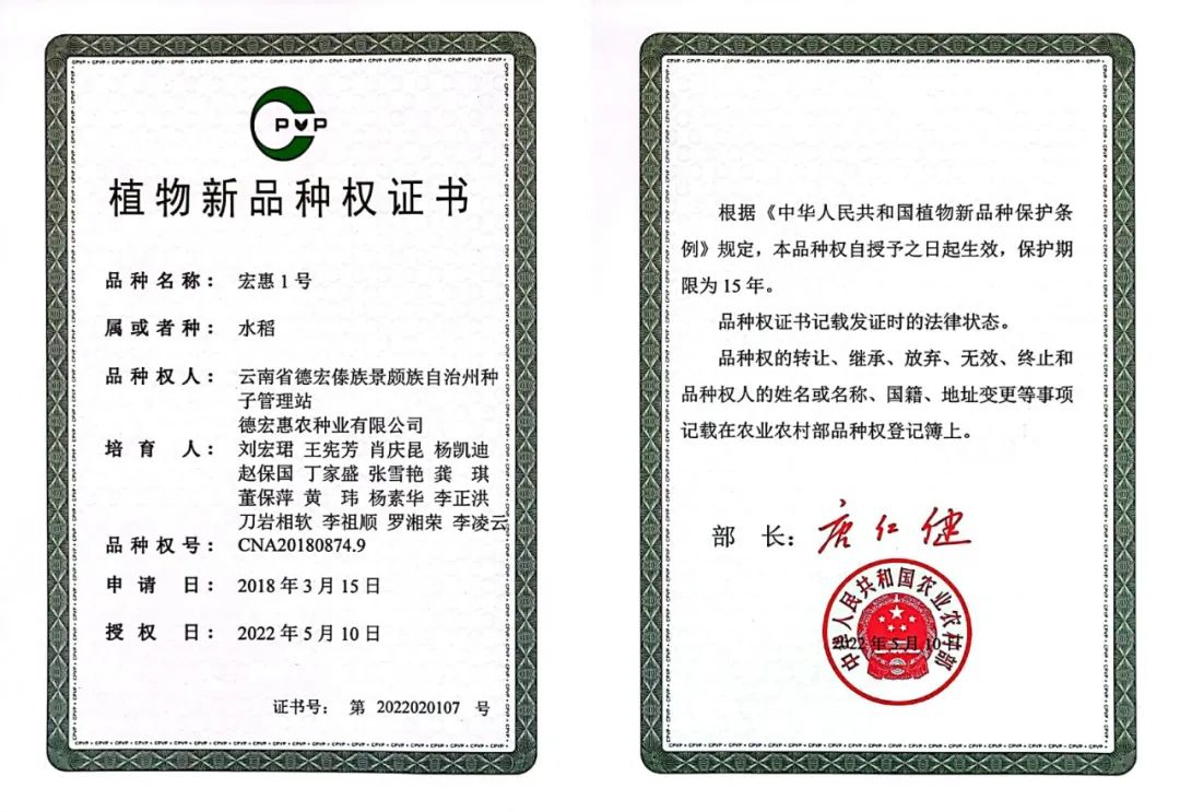 德宏团结报