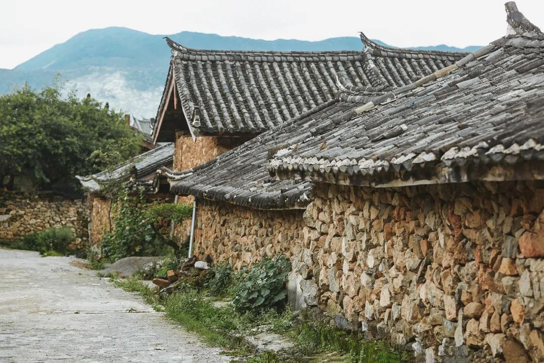 云南省文化和旅游厅