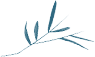 玉溪发布