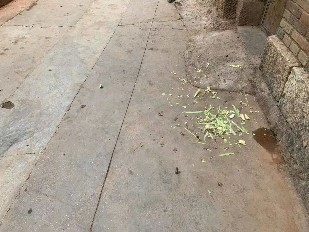 昆明阳宗海风景名胜区