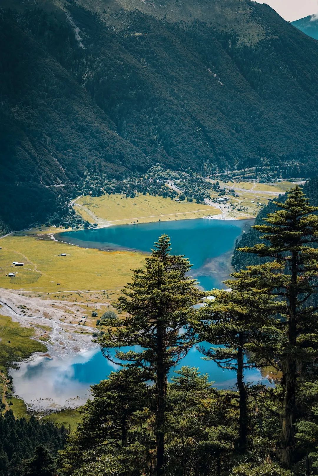 一部手机游云南