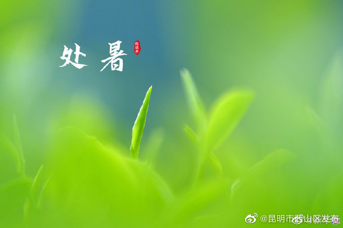 昆明市西山区发布