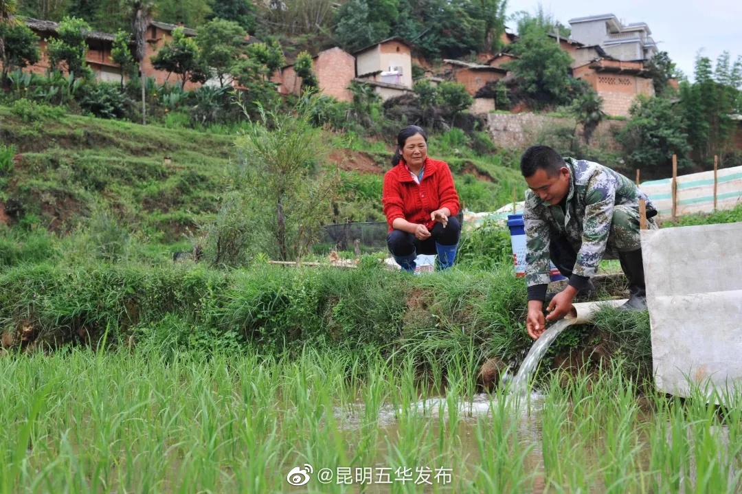 “昆明五华发布”微博