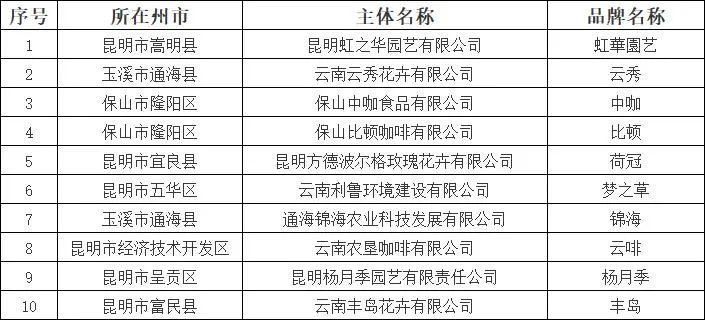 云南省人民政府网
