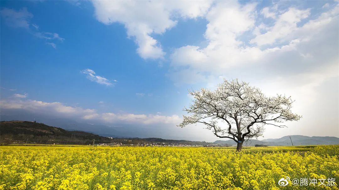 腾冲文旅微博