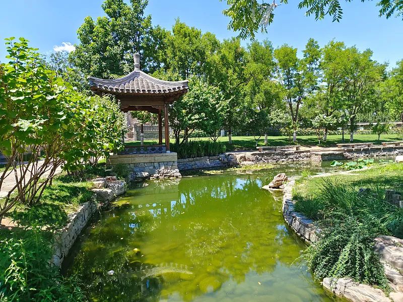 盘龙清风(微信)