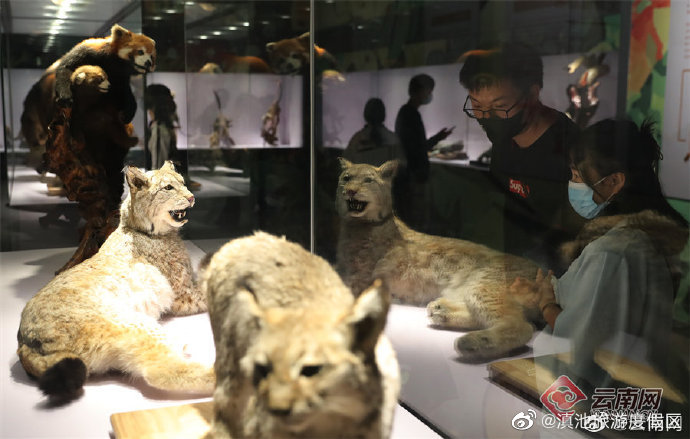 “滇池旅游度假区”微博