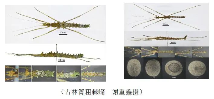 美丽云南微科普