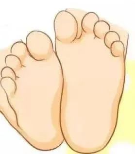 云南法制报