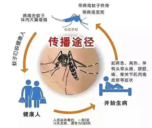 美丽云南微科普