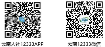 西山政务服务