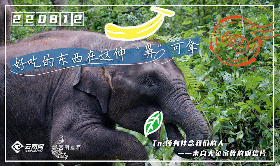 一部手机游云南