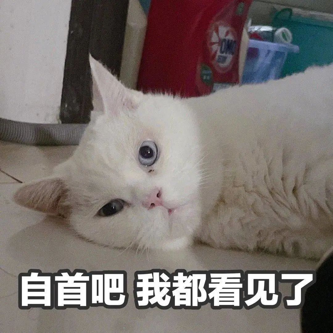 呈贡发布