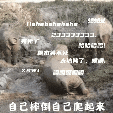 普洱日报
