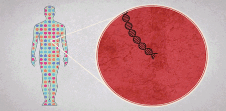 “昆明五华发布”微博