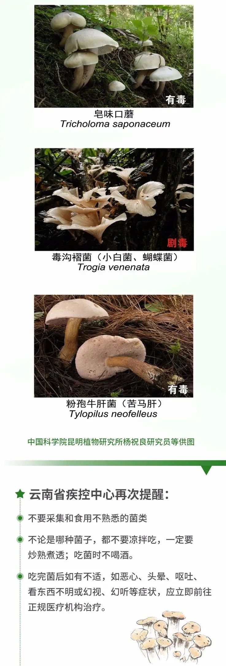 爱上富民