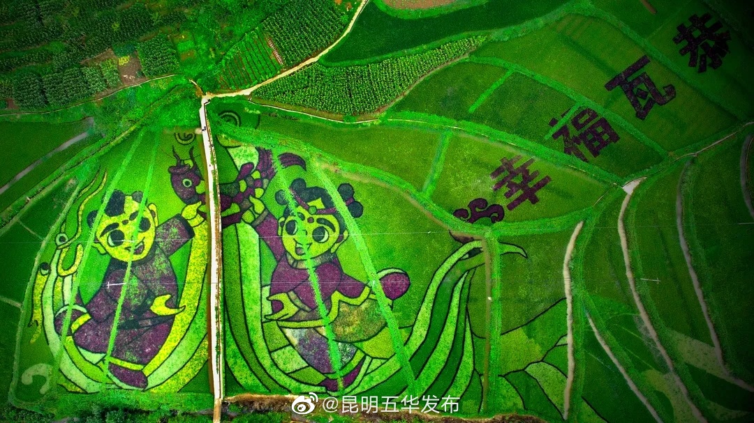 “昆明五华发布”微博