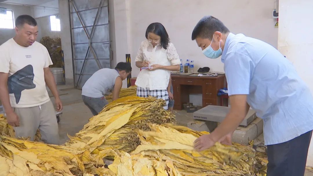 悦读嵩明