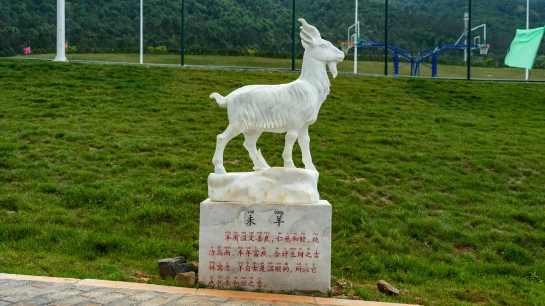 丽江日报