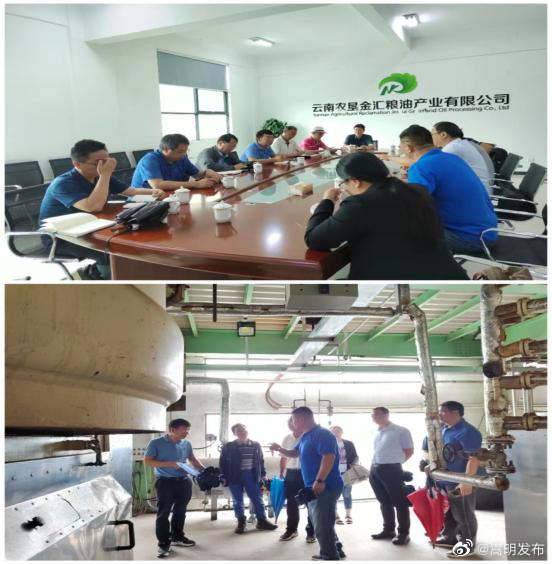 云南省现代农业坚果产业工作组和专家组 到嵩明县开展核桃油生产加工情况调研