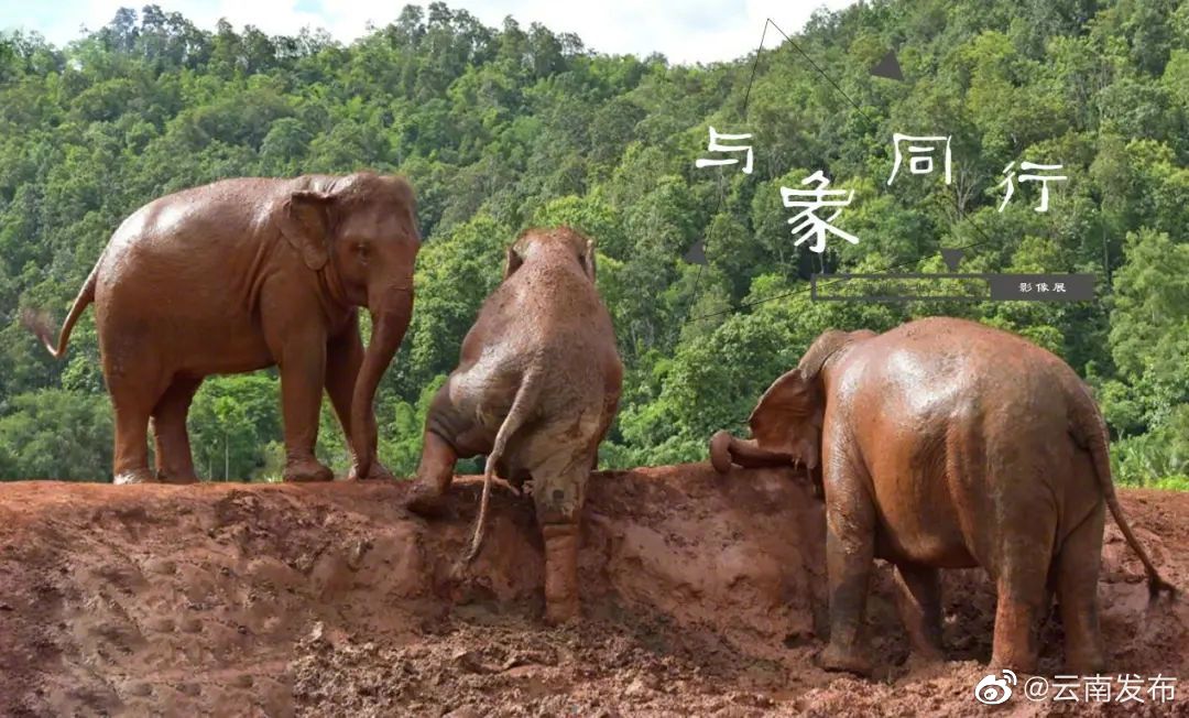 “云南发布”微博