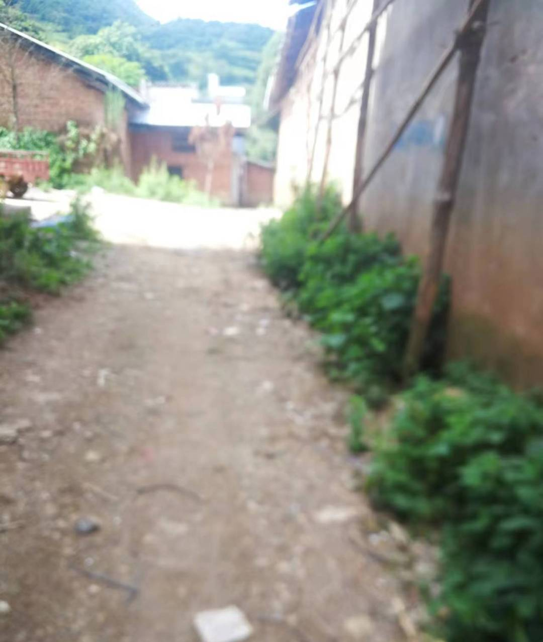 昆明阳宗海风景名胜区