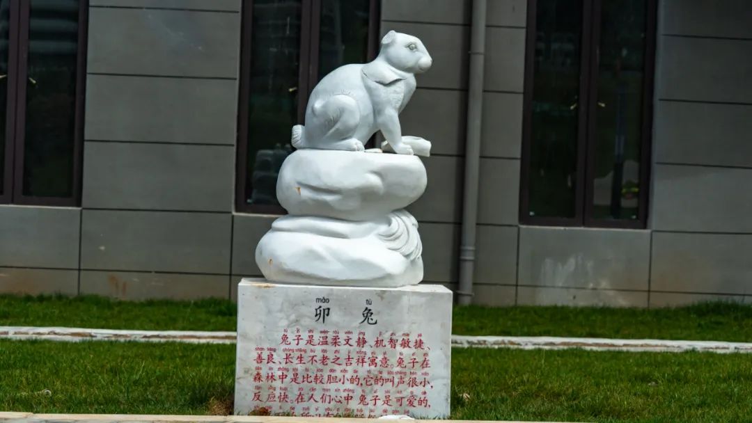 丽江日报