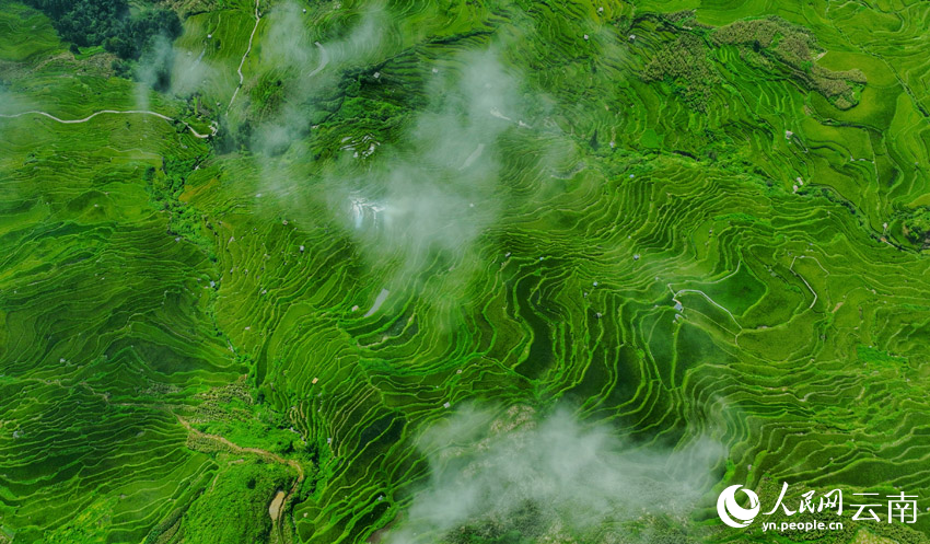 云南省文化和旅游厅