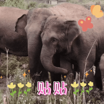 普洱日报