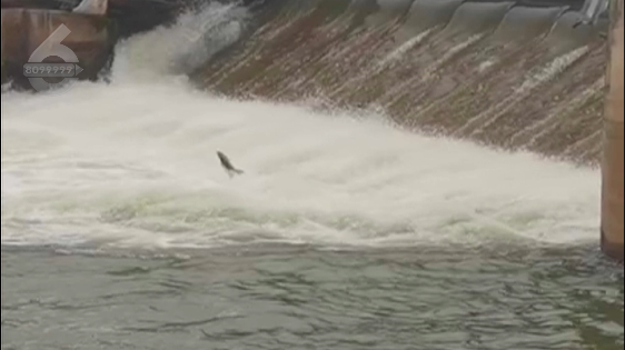 昆明信息港/cnkmxxg