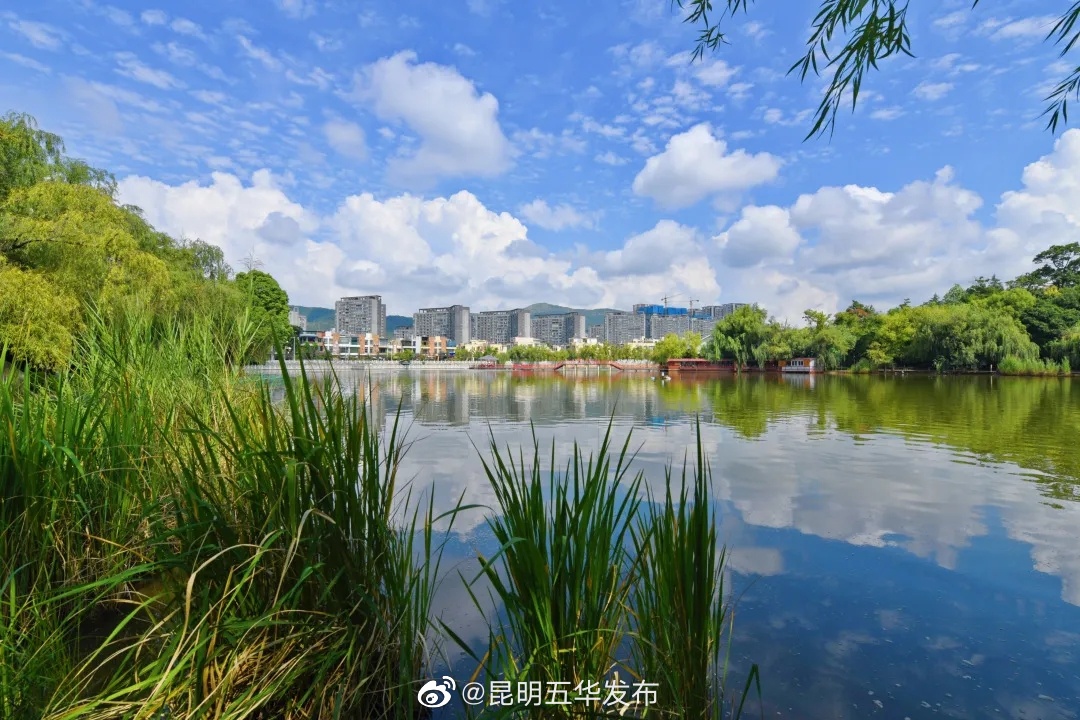 “昆明五华发布”微博