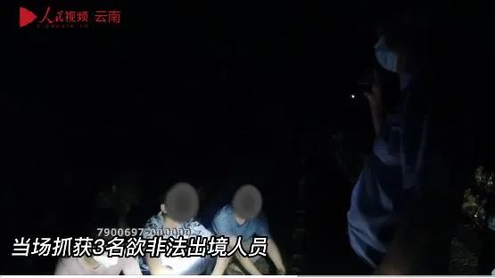 掌上春城