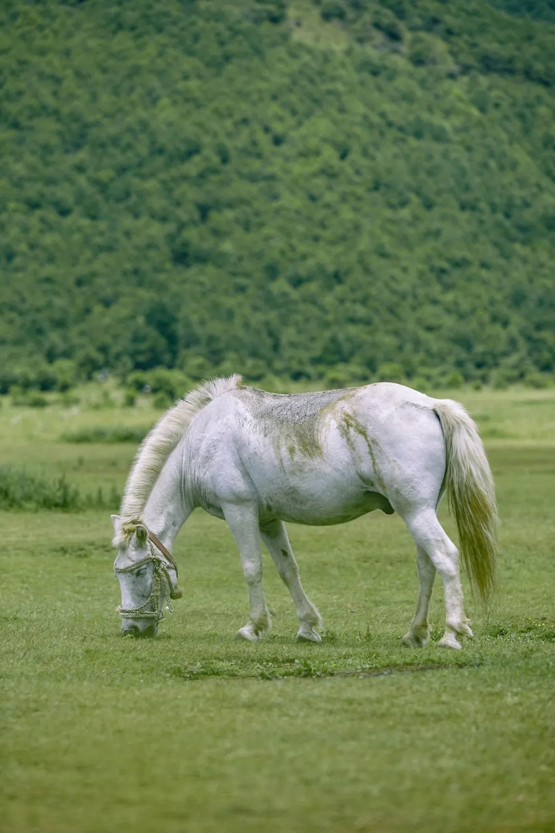 云南省文化和旅游厅