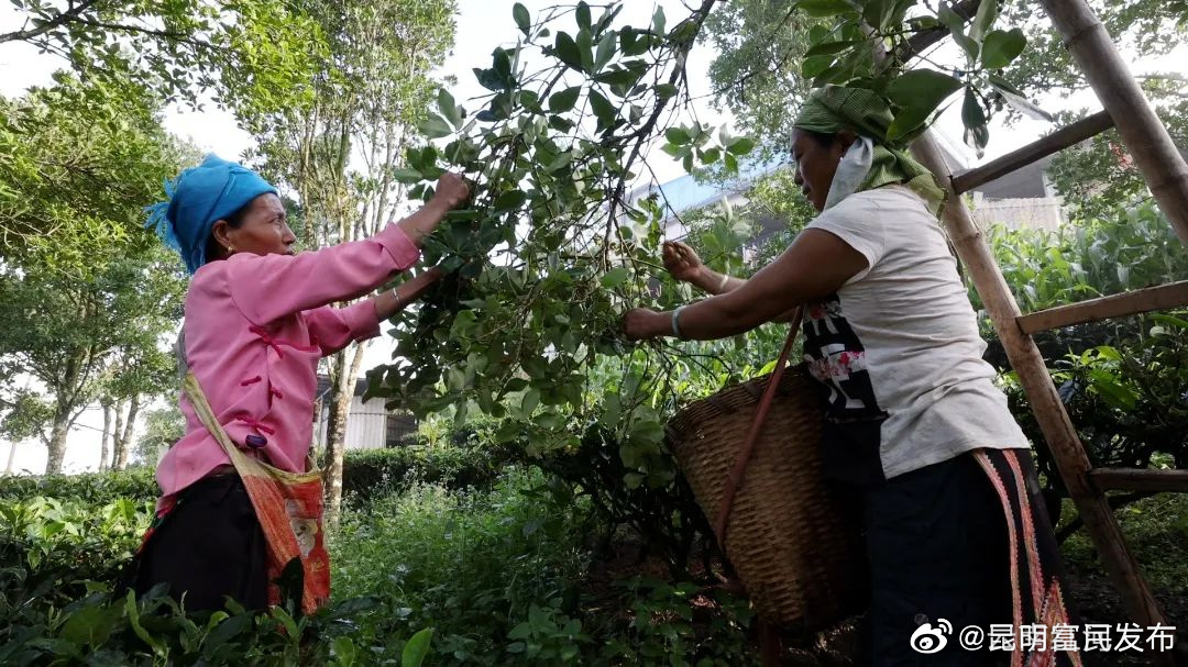 “昆明富民发布”微博