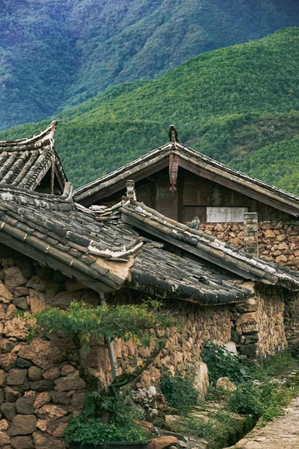 云南省文化和旅游厅