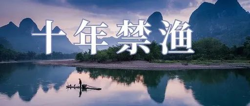 微观盘龙