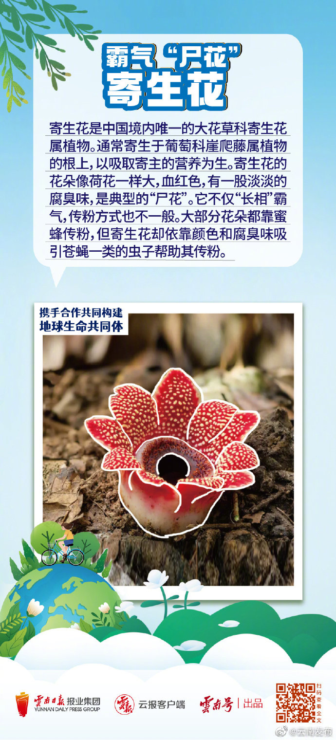 “云南发布”微博