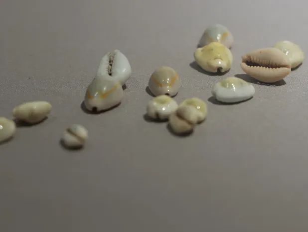 云南省博物馆