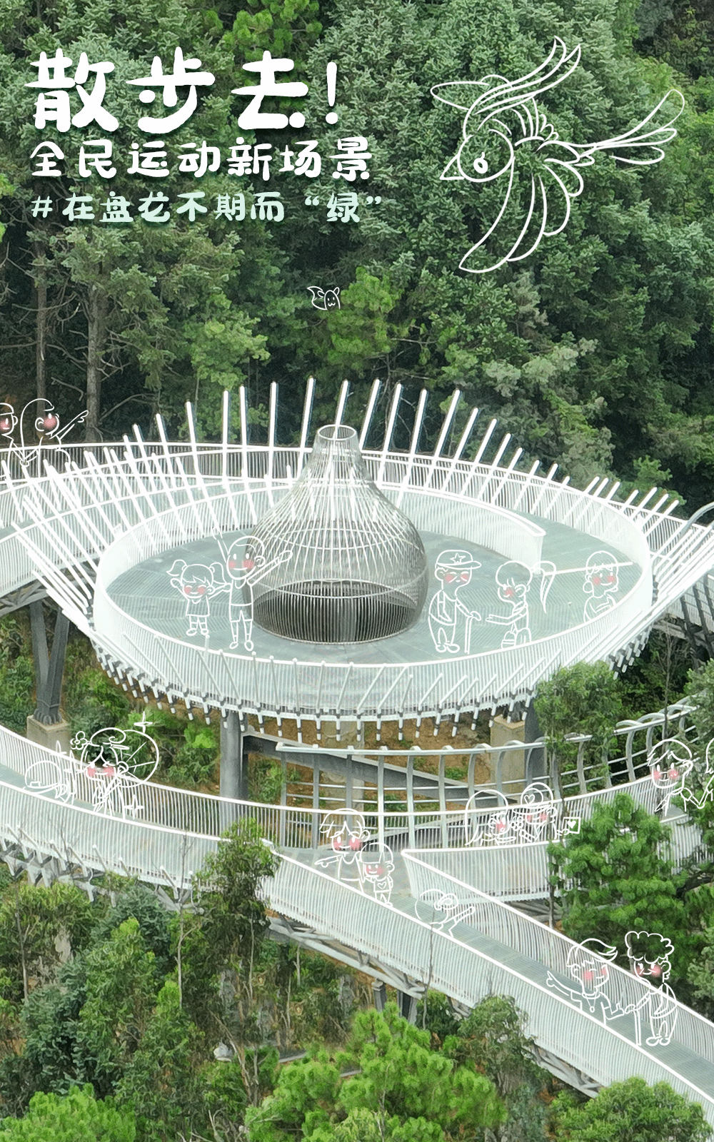 微观盘龙