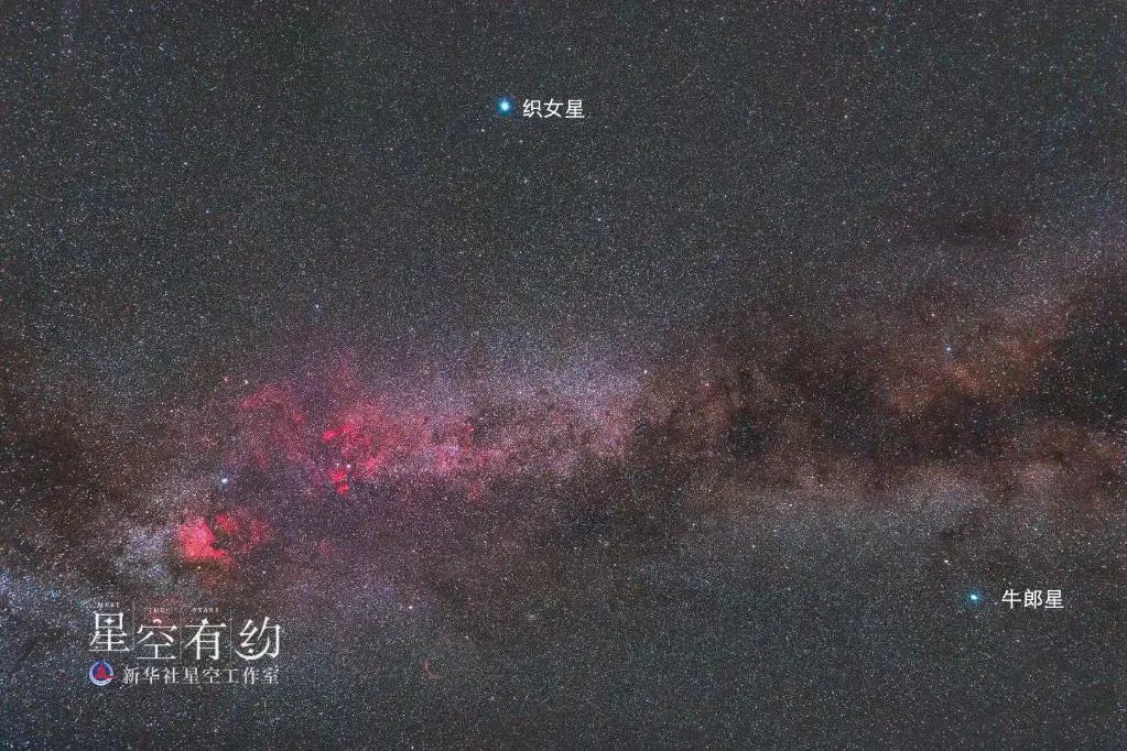 美丽云南微科普
