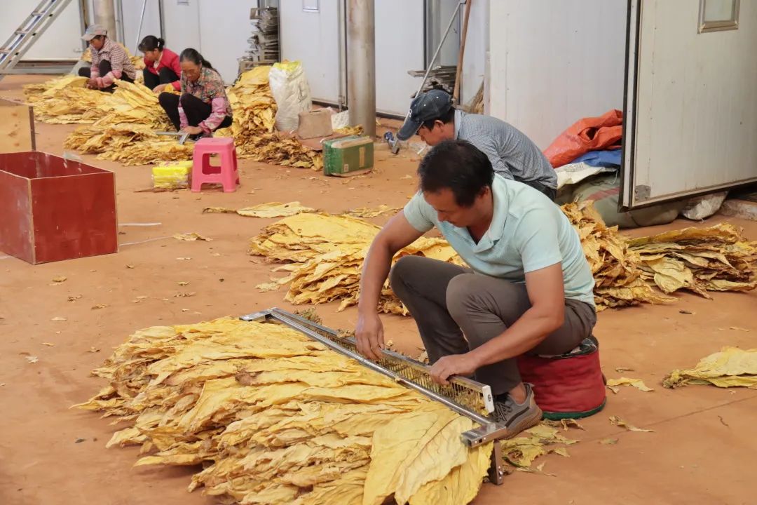 悦读嵩明