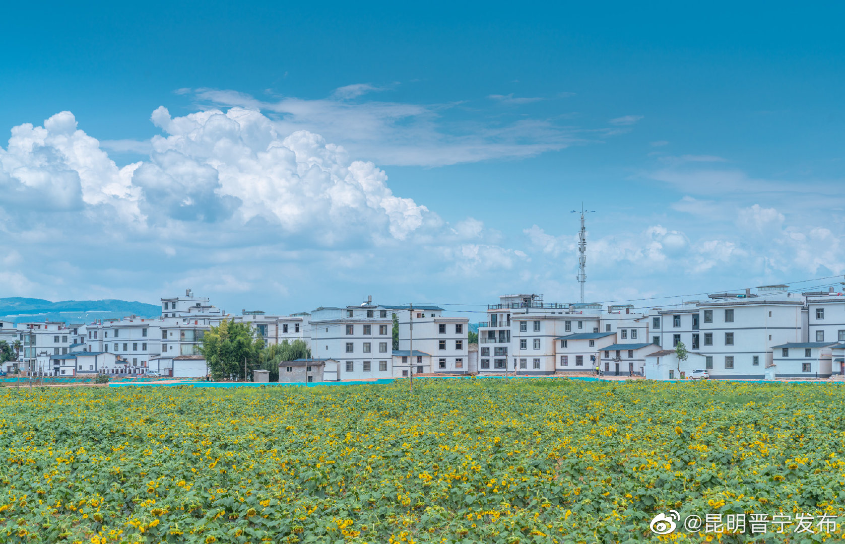 昆明晋宁发布
