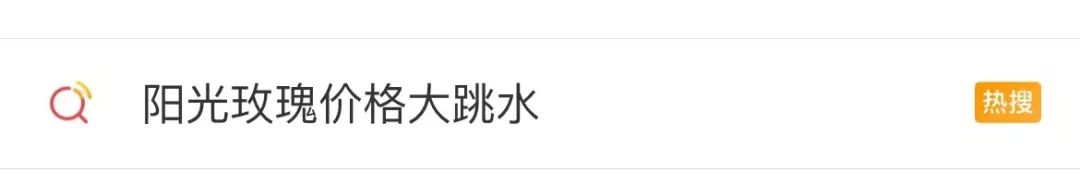 春城晚报