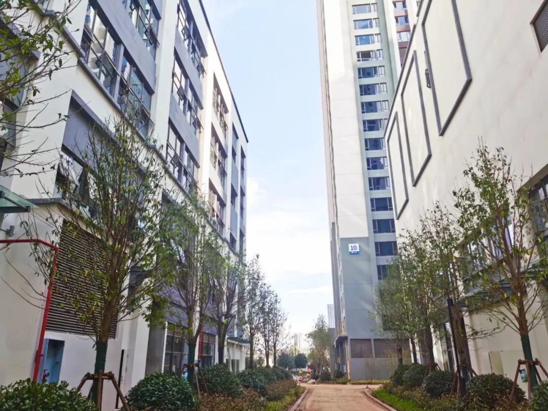 昆明信息港/cnkmxxg